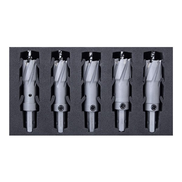 HMT TCT HoleCutter InsertFoam Rivet Removal Set, 1x 11/16, 2 each 13/16, 15/16